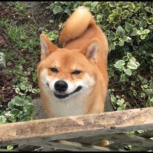 Meet your Posher, Terry